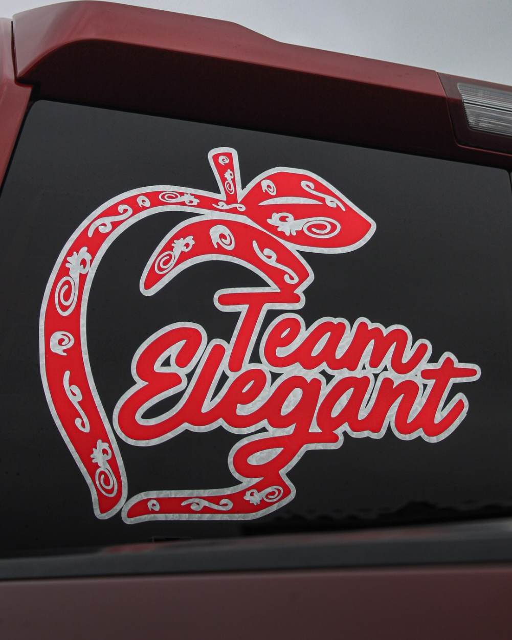 Red and white 'Team Elegant' logo on a black background
